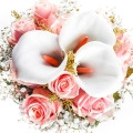 روایح گلی