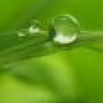 ترکیبات سبز